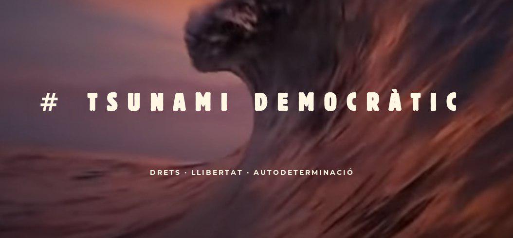 Analizamos la aplicación del Tsunami Democrático Pirates de Catalunya